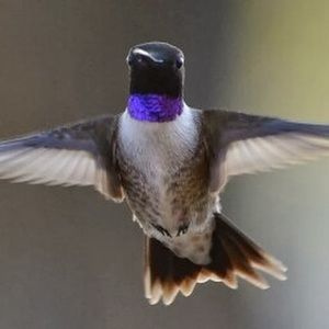 Meet your Posher, Beth